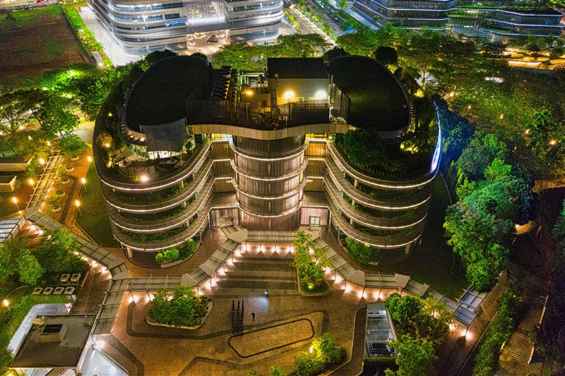 Designing for Impact: CCP’s Role in Advancing Green Building Excellence!